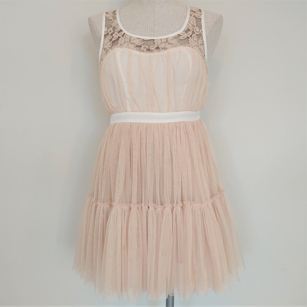 🎃 Blush by Young Threads Tulle and Lace Dress - Picture 1 of 10